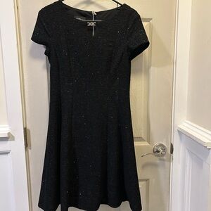 Dress black with silver sparkle fit and flare